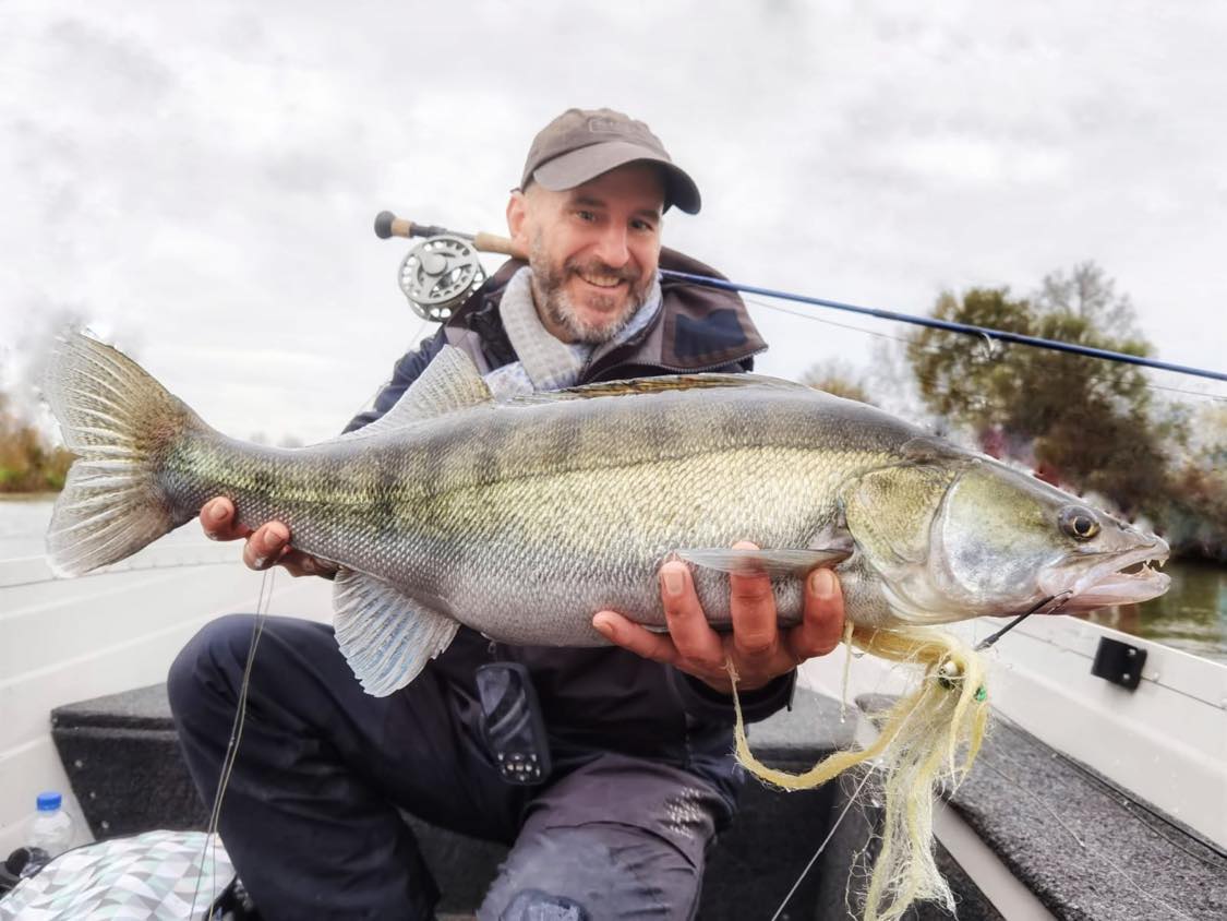 La perche à la mouche en été - Peche et Poissons  Carnassiers, carpe,  truite, mer, coup… Toute l'actu de la pêche