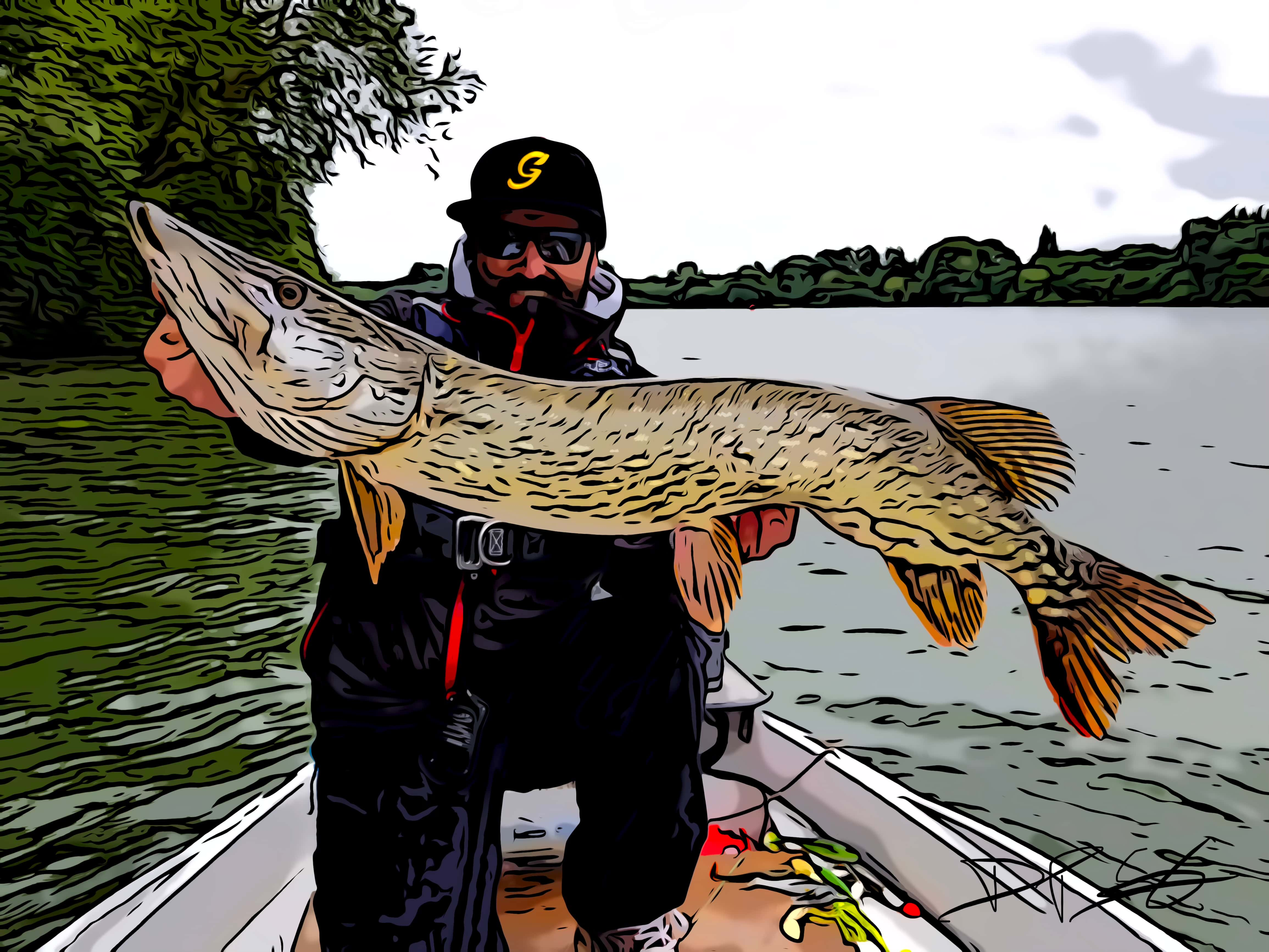 Ouverture de la pêche du brochet samedi 29 avril