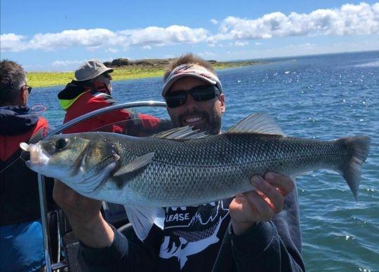 Pétole, 1mètre de profondeur, étale de basse mer et canicule, toutes les conditions réunies pour une pêche difficile; Pourtant avec une animation très agressive ce minnow sera englouti par agressivité ! 