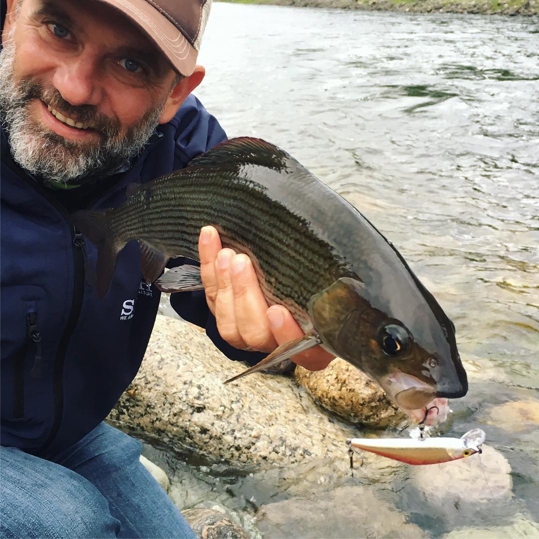 La pêche de l'ombre aux leurres est ici une réalité !