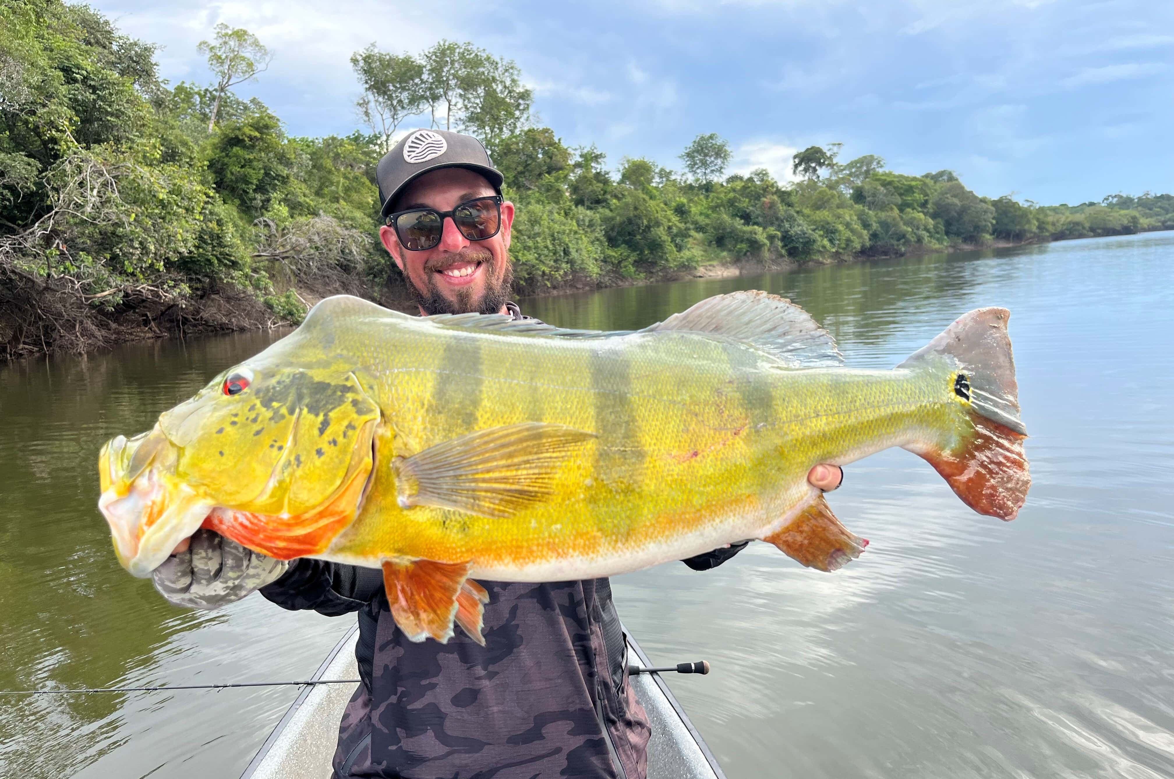 Pêche Exo : Sur les traces du peacock Bass Cichla Temensis de l’Orenoque en Colombie !
