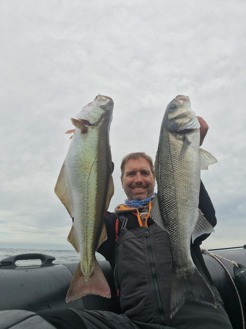 Pas de miracles sur cette sortie comme prévu, mais tout de même quelques poissons qui valident la stratégie établie.