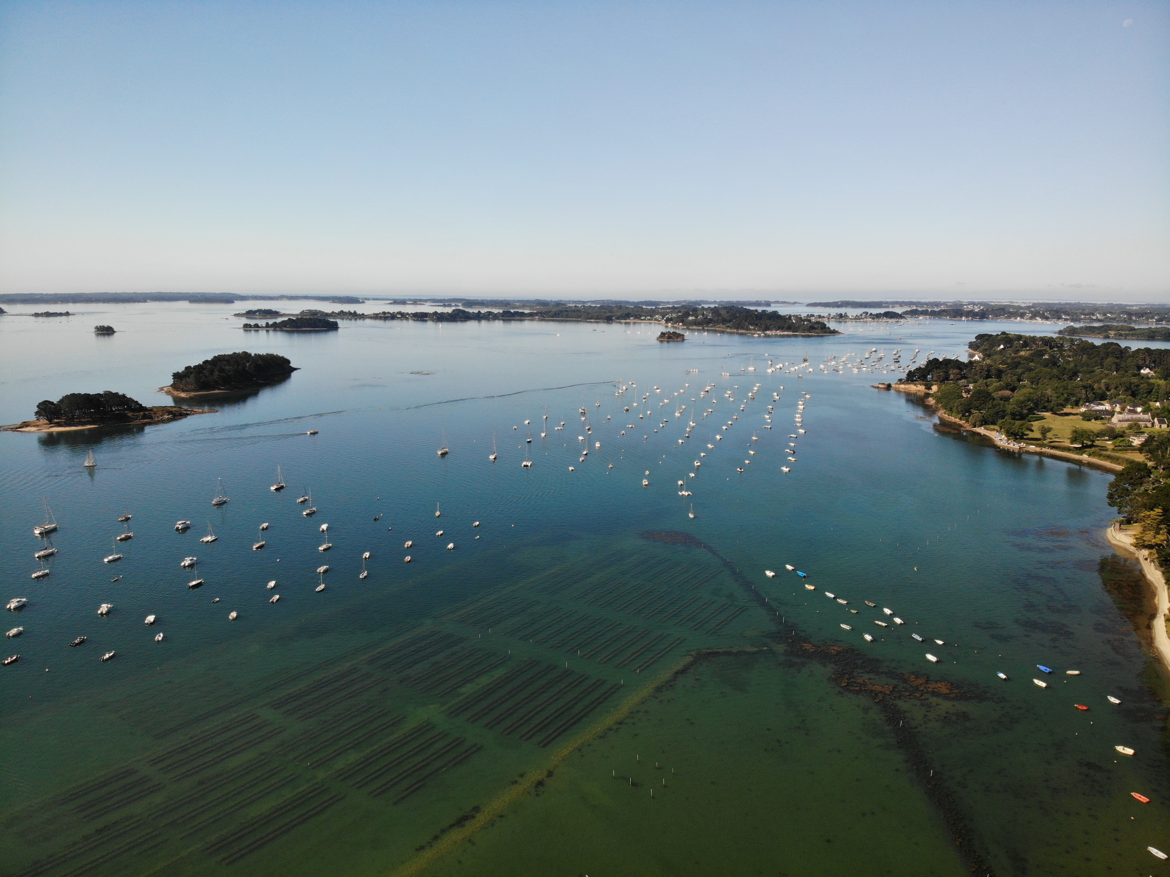 Le sparcs ostréicoles sont nombreux et sont évidement d'excellents spots pour la pêche du bar.