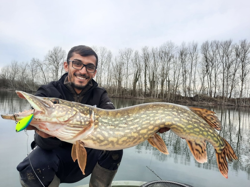 En hiver, avec des animations plus amples et lentes, les lipless peuvent réveiller les brochets les plus apathiques et permettent de pêcher creux.