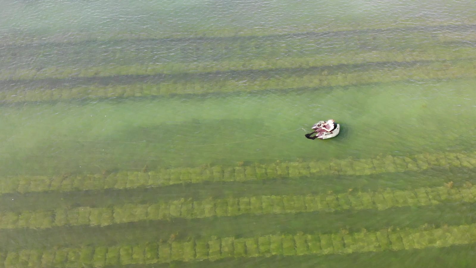 Une grosse unité n'ets pas nécessaire et dans les baies calmes, certains pratiquent même en float tube. Cela reste anecdotique et il est important d'avoir à l'esprit que cette embarcation est considéré comme un engin de plage... La prudence est de mise dans un tel milieu !