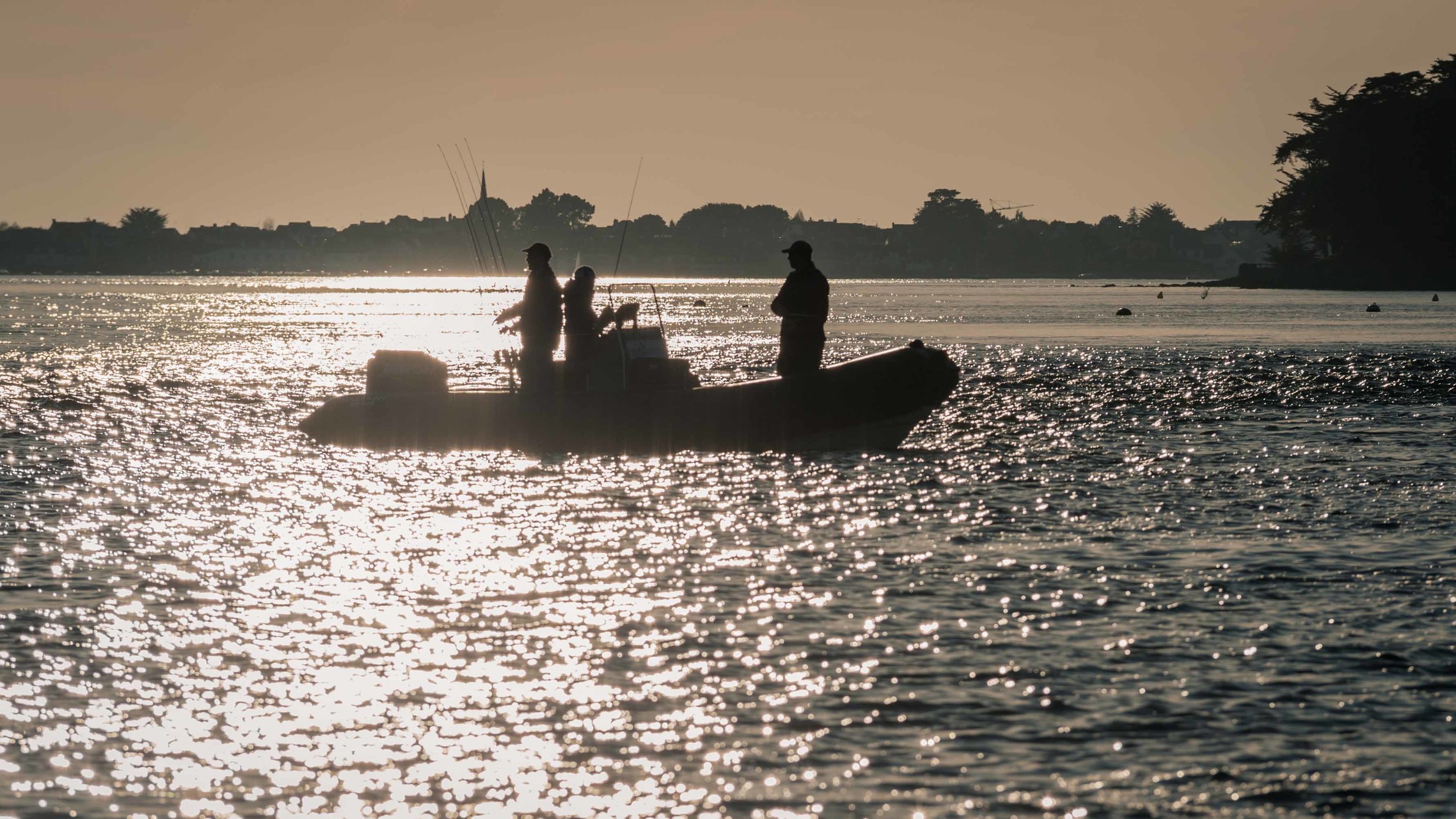 La pêche du bar dans le Golfe du Morbihan
