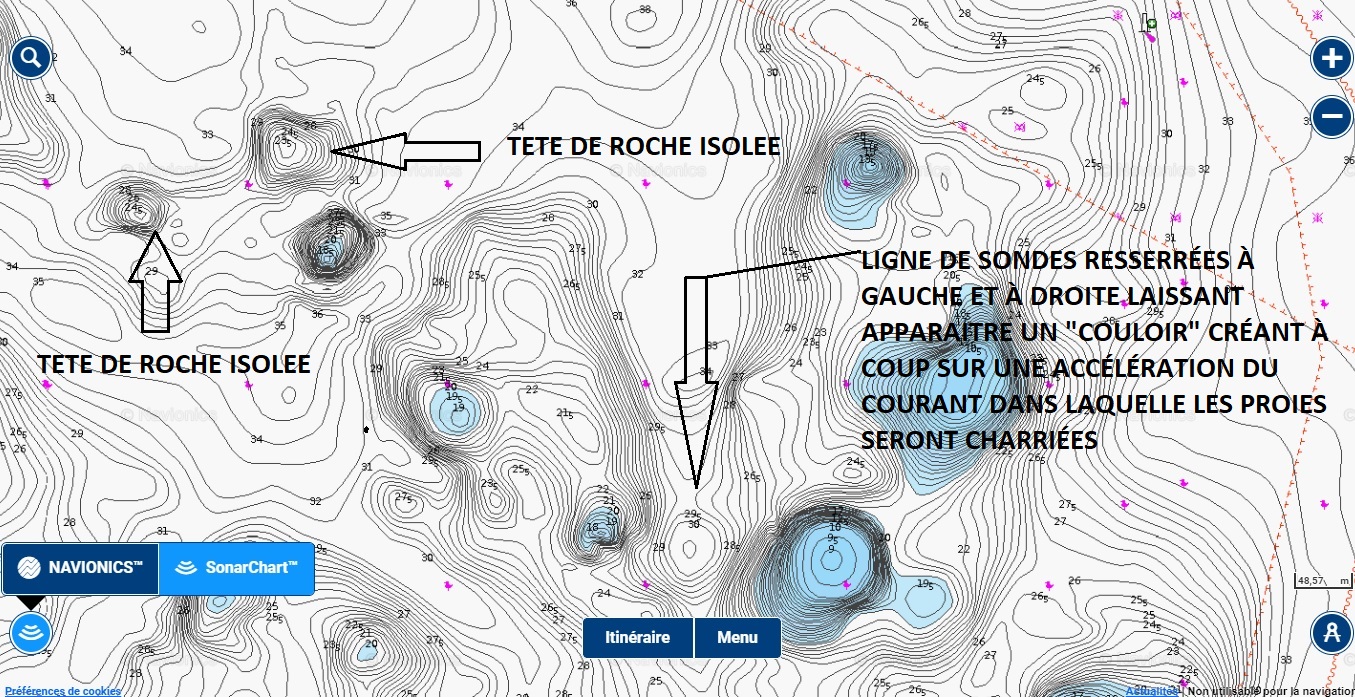 Image identique à la précédente avec l'option bathymétrie haute résolution.