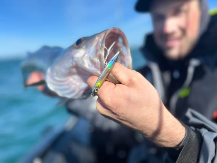 Pêche en mer : découvrez l’efficacité du jig pour la pêche à la volée !