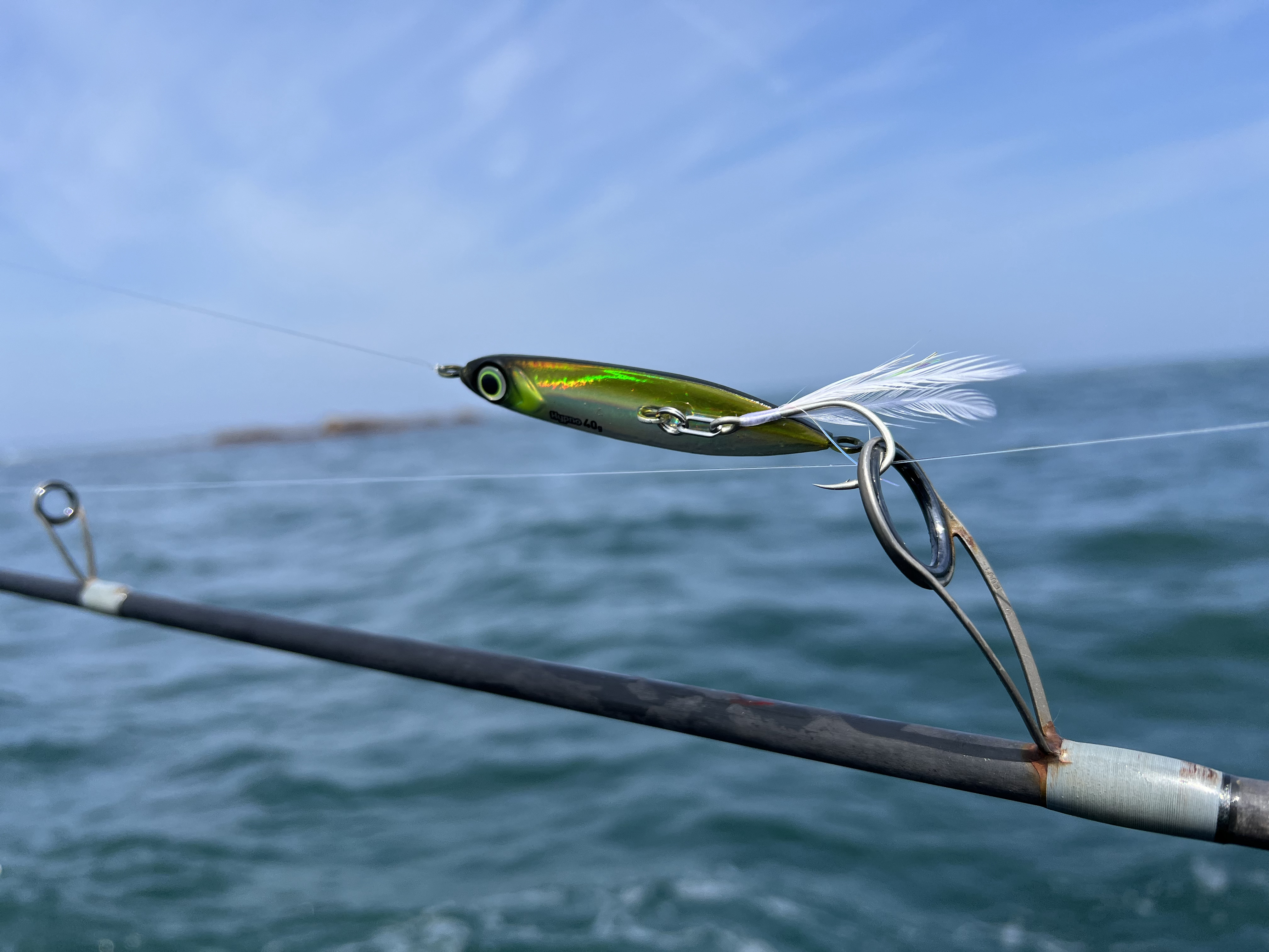 Pêche en mer : découvrez l'efficacité du jig pour la pêche à la volée ! -  DPSG