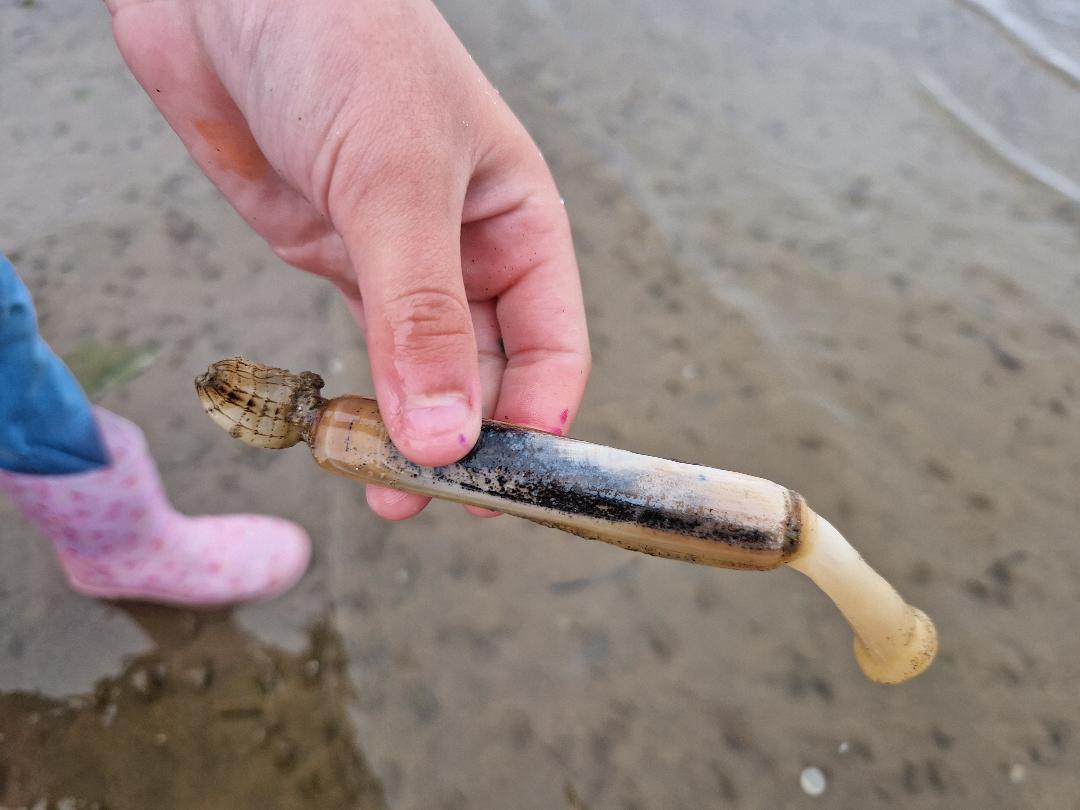 Récolter ses appâts pour la pêche