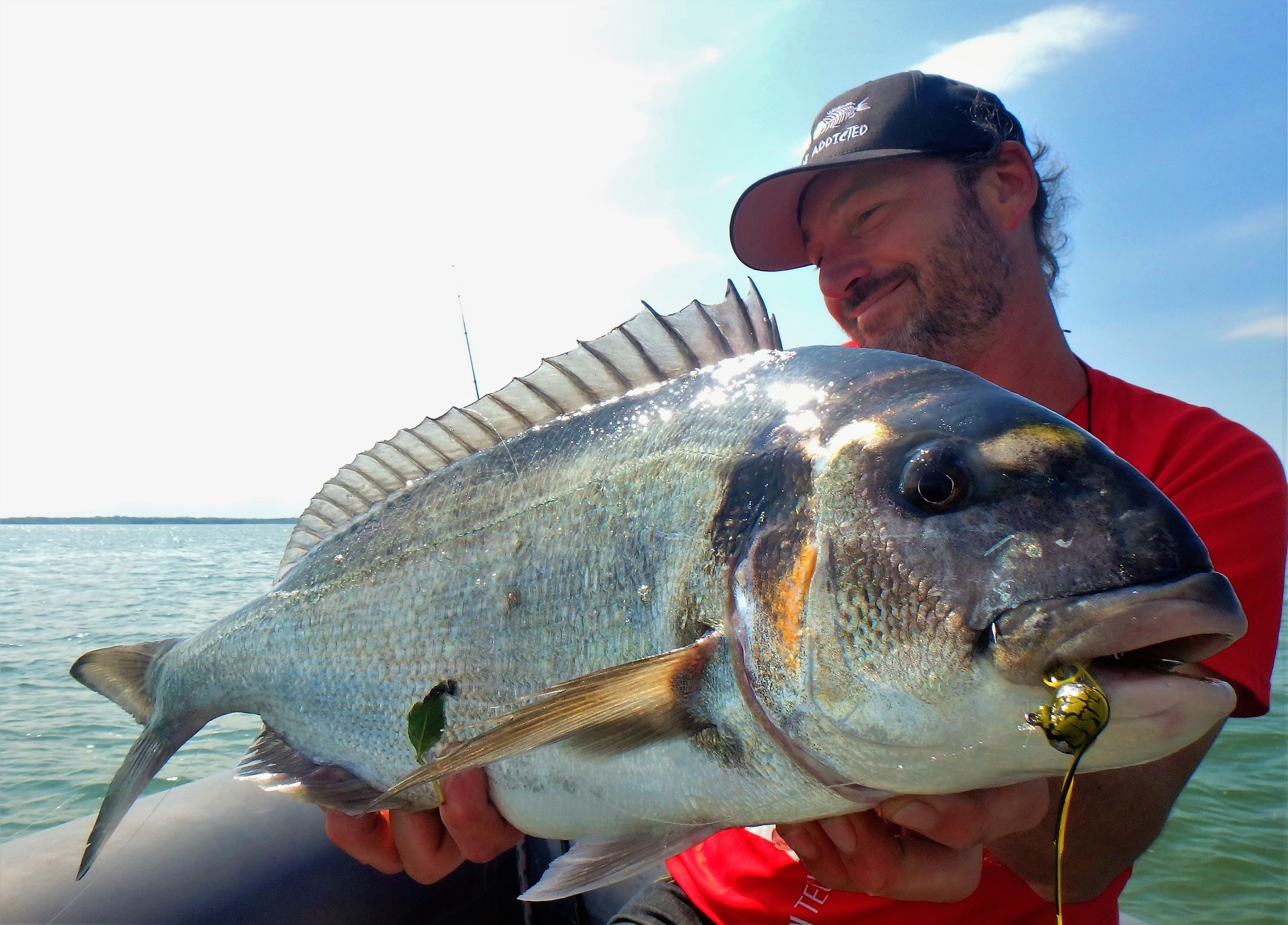 Découvrez la pêche de la dorade royale au tenya dans le Golfe du Morbihan !