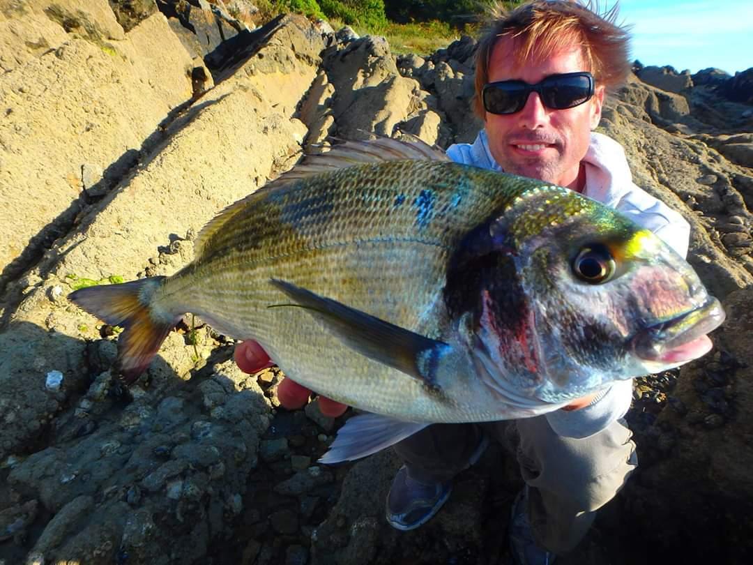 Tout savoir sur la pêche de la dorade royale au posé