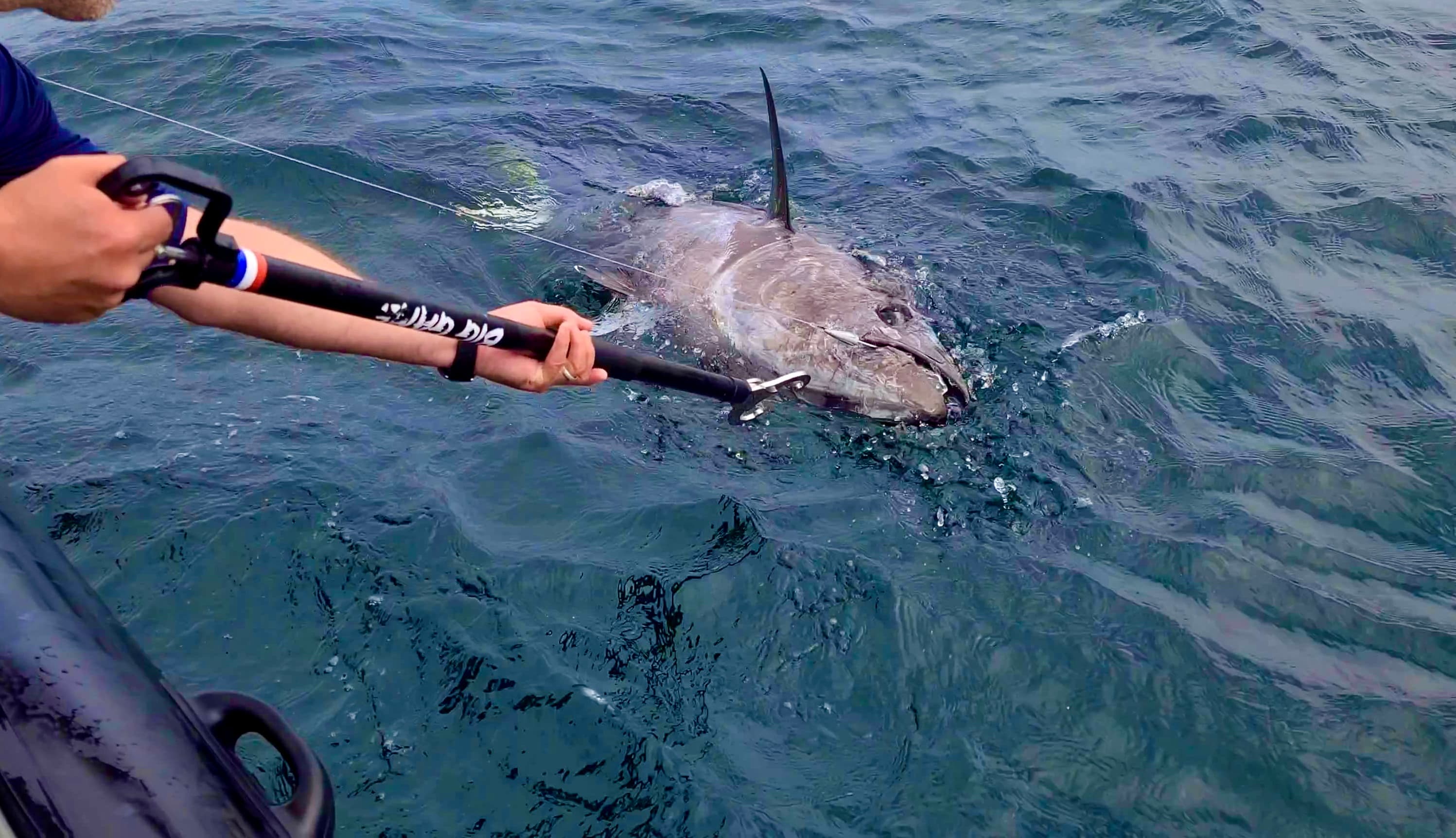 poisson en surface avec pince a thon