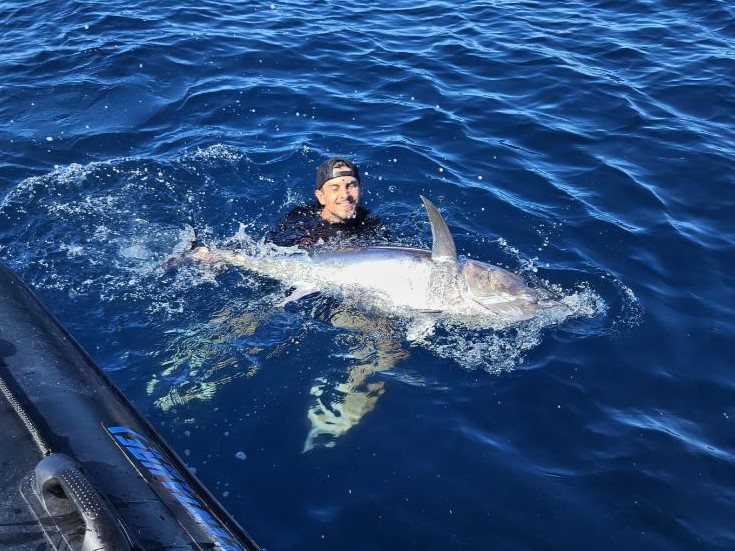 Pêche du thon au vif, retour sur une session rythmée en Bretagne sud !