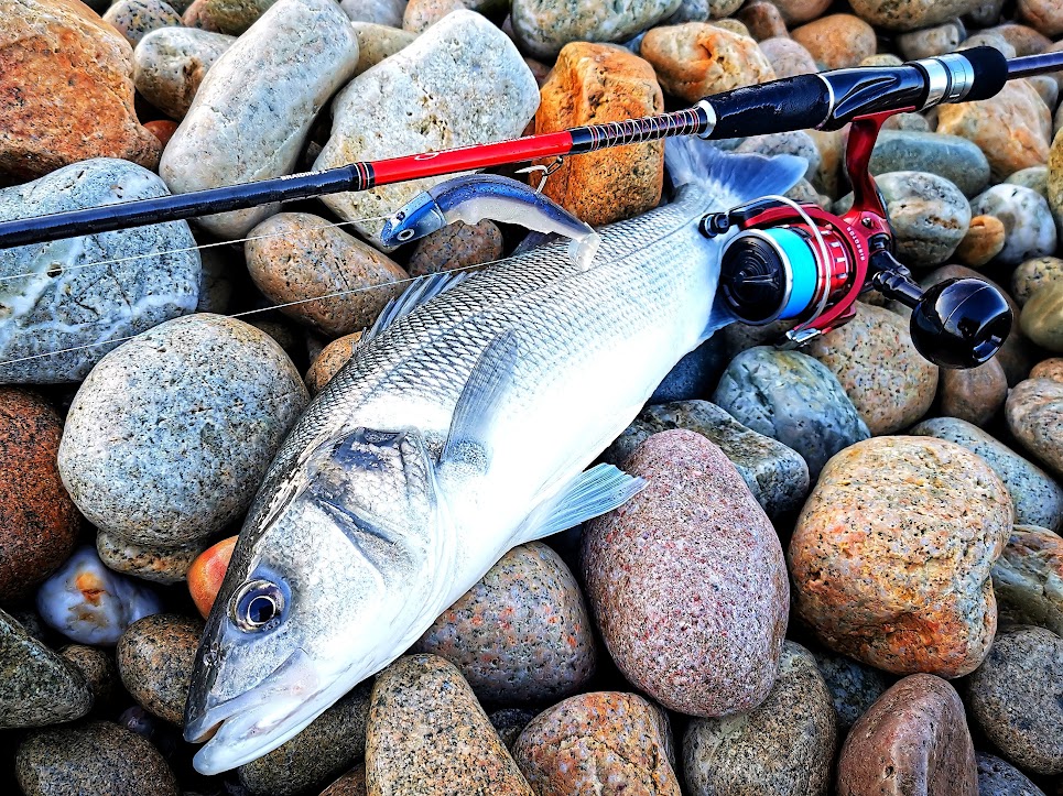 bar pêche sur une plage