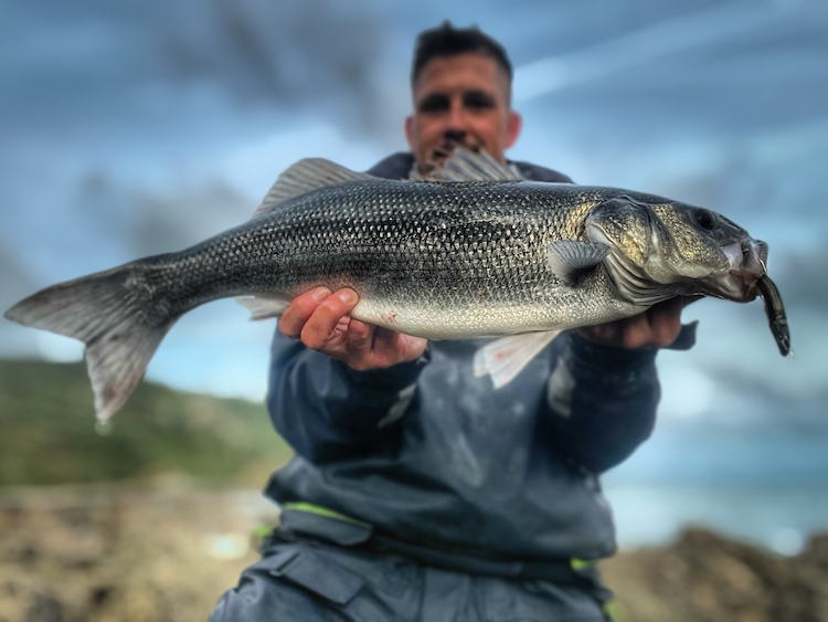 Réussir ses premières pêches en bord de mer