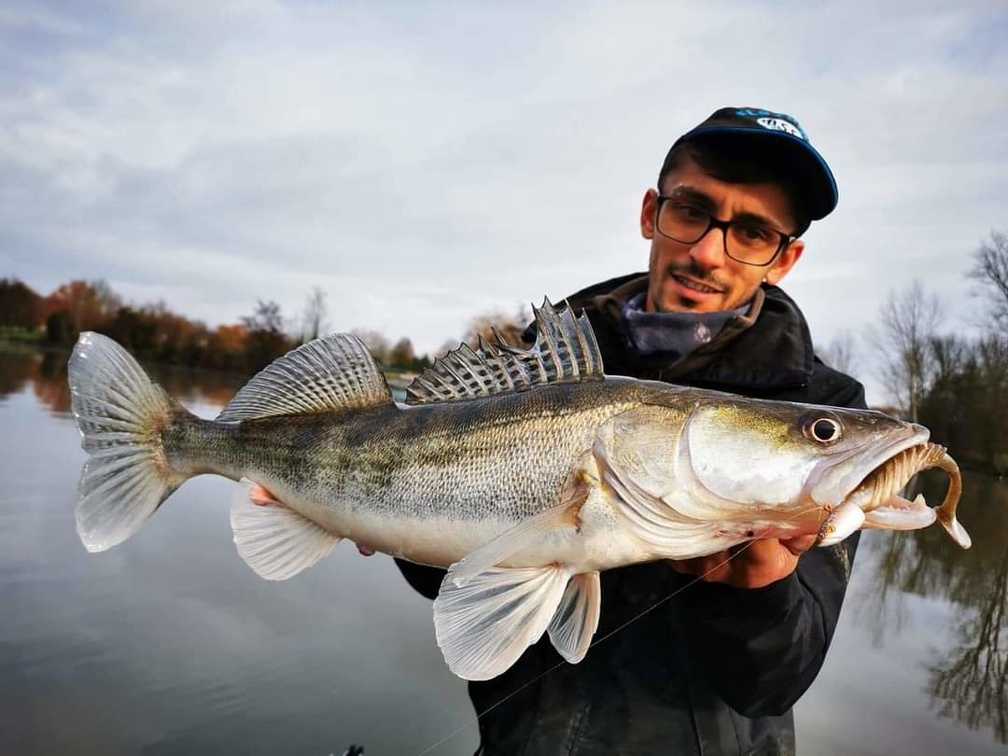 La pêche du sandre en période de crue