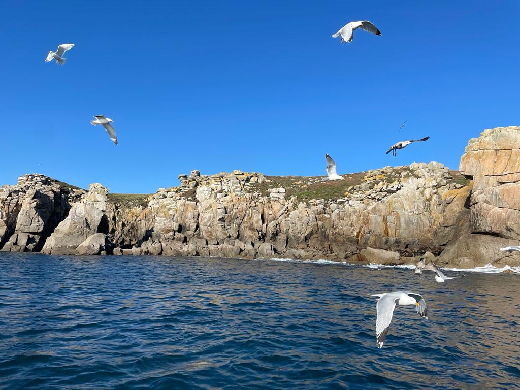 Sortie en mer par beau temps