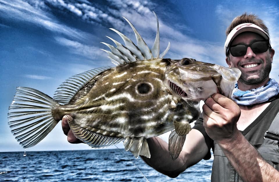 Tout savoir sur la pêche du Saint-Pierre au leurre : postes, techniques et matériel !