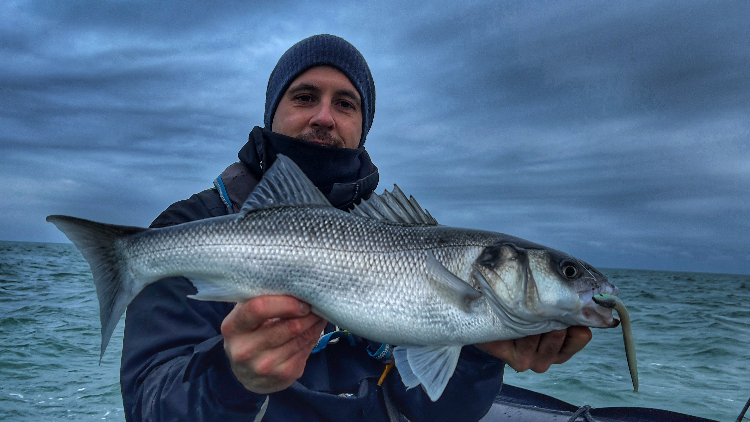 Pêche du bar : dernière sortie en mer de la saison ?