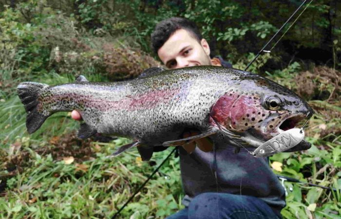 Pêche de la truite : bien choisir la couleur de son leurre en