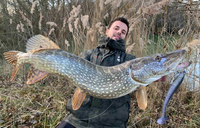 Pêche. Ouverture du carnassier Osez le brochet à la mouche