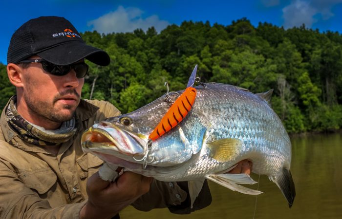 La pêche de la perche à vue, une approche pour gros poissons ! - DPSG