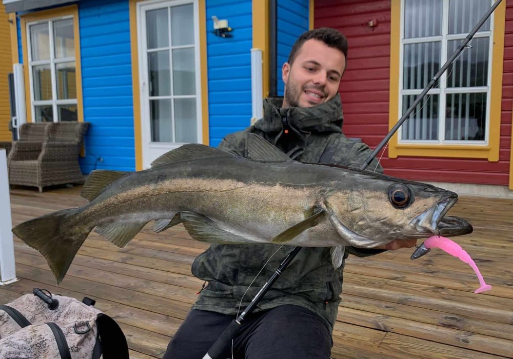 Quel matériel pour partir pêcher la morue et le lieu du bord en Norvège ?