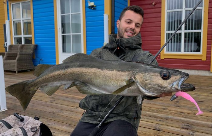 Bien choisir son matériel pour pratiquer la pêche du bar depuis le bord de  côte