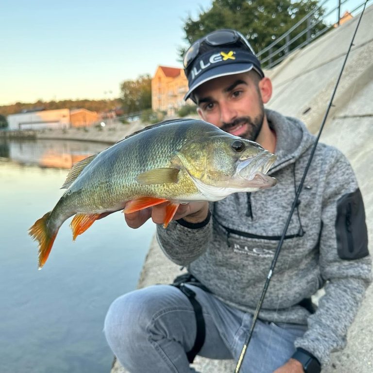DPSG (Des Poissons Si Grands)