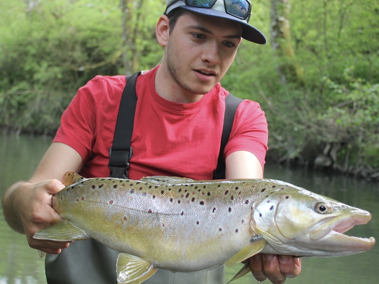 Truites record en début de saison, osez pêcher avec de gros leurres !