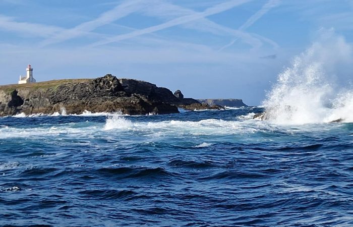 Belle île, offre une variété piscicole qui permet de contenter tous les pêcheurs.