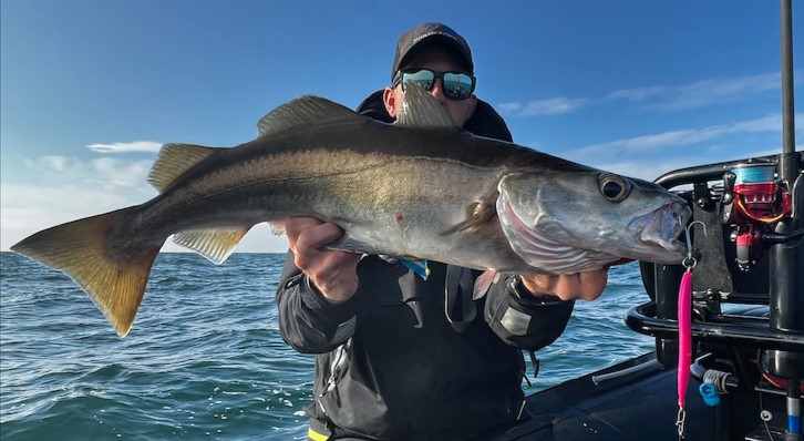 Pêche du lieu jaune sur épave :  mettez toutes les chances de votre côté pour capturez des gros poissons !