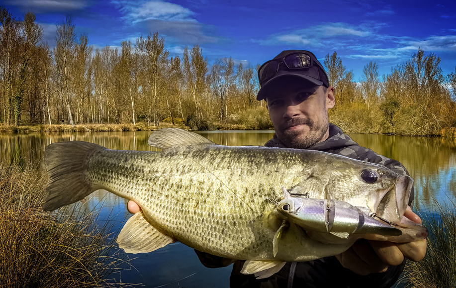 Illex Swing Mikey 115, un swimbait qui a de vrais atouts à faire valoir !