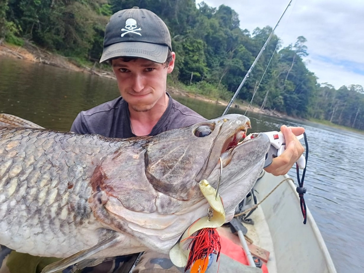 Pêche d’anthologie de l’aïmara en Guyane : un pattern qui rapporte gros !