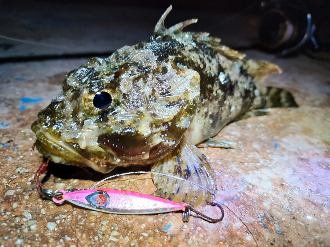 En mer, les jigs vous permettront d'enregistre de nombreuses touches et de croiser de nombreuses espèces.