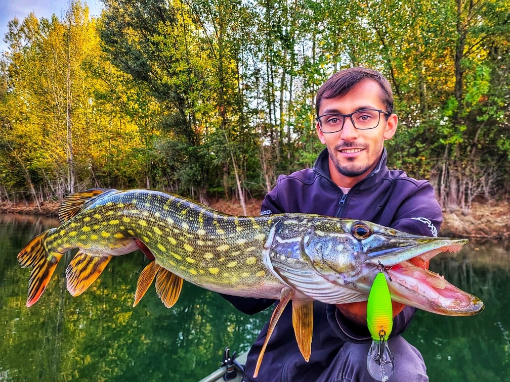 Même avec des petits leurres, les belles surprises sont courantes.