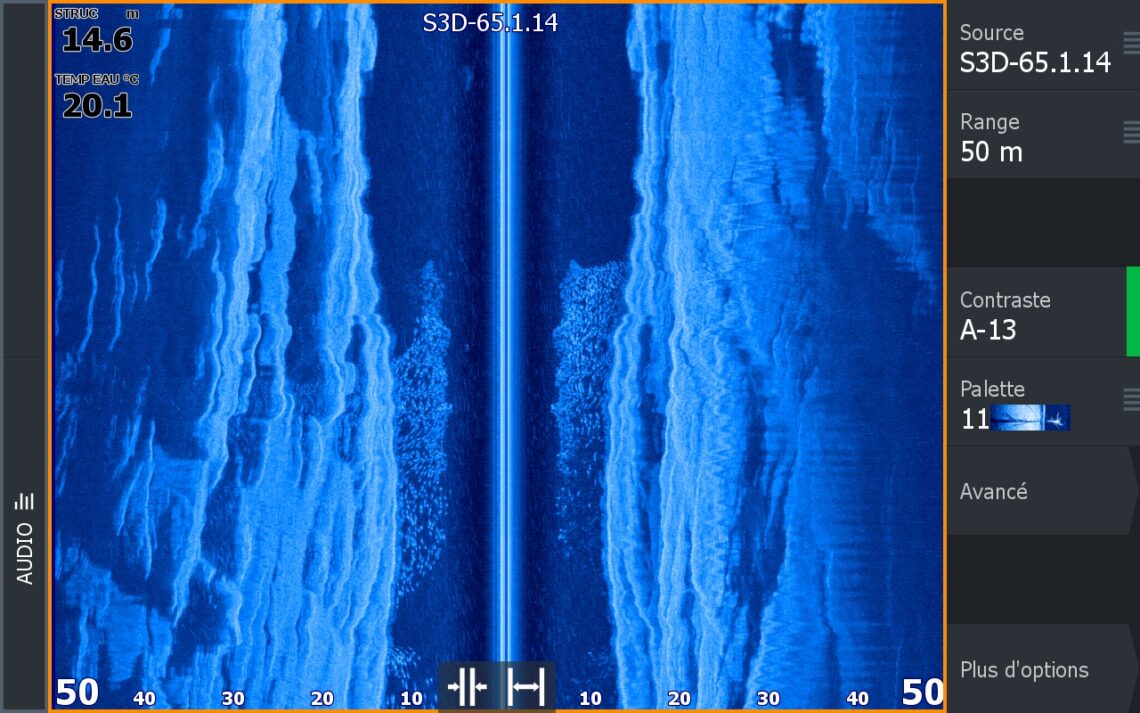 banc de bars vu avec un sondeur lowrance