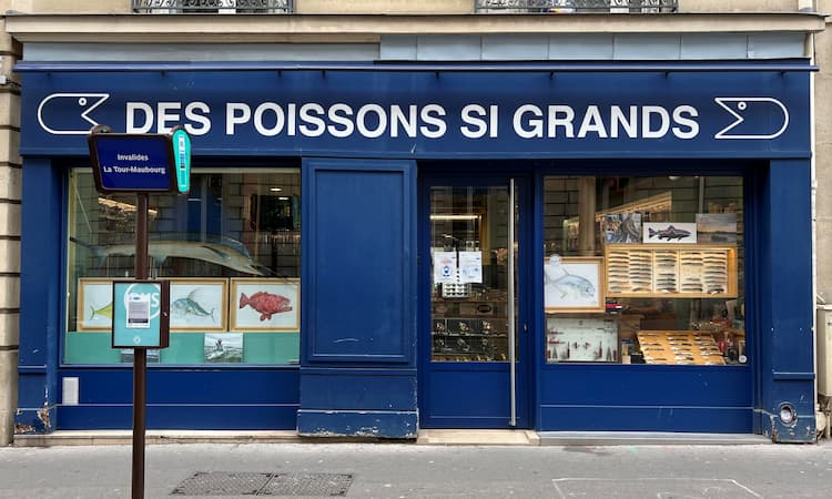Boutique DPSG Rue de Grenelle